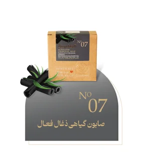 صابون گیاهی ذغال فعال پرستش ضد جوش و چربی پوست
