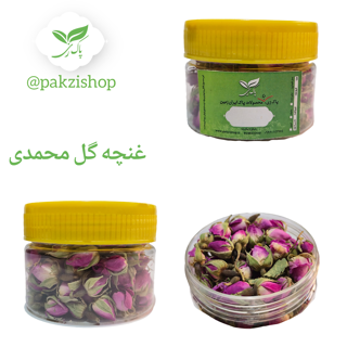 غنچه گل محمدی